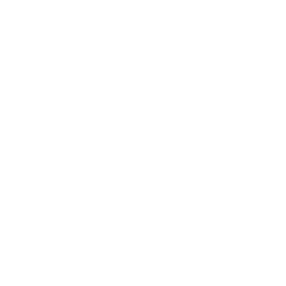 Whistleblowing System (WBS)