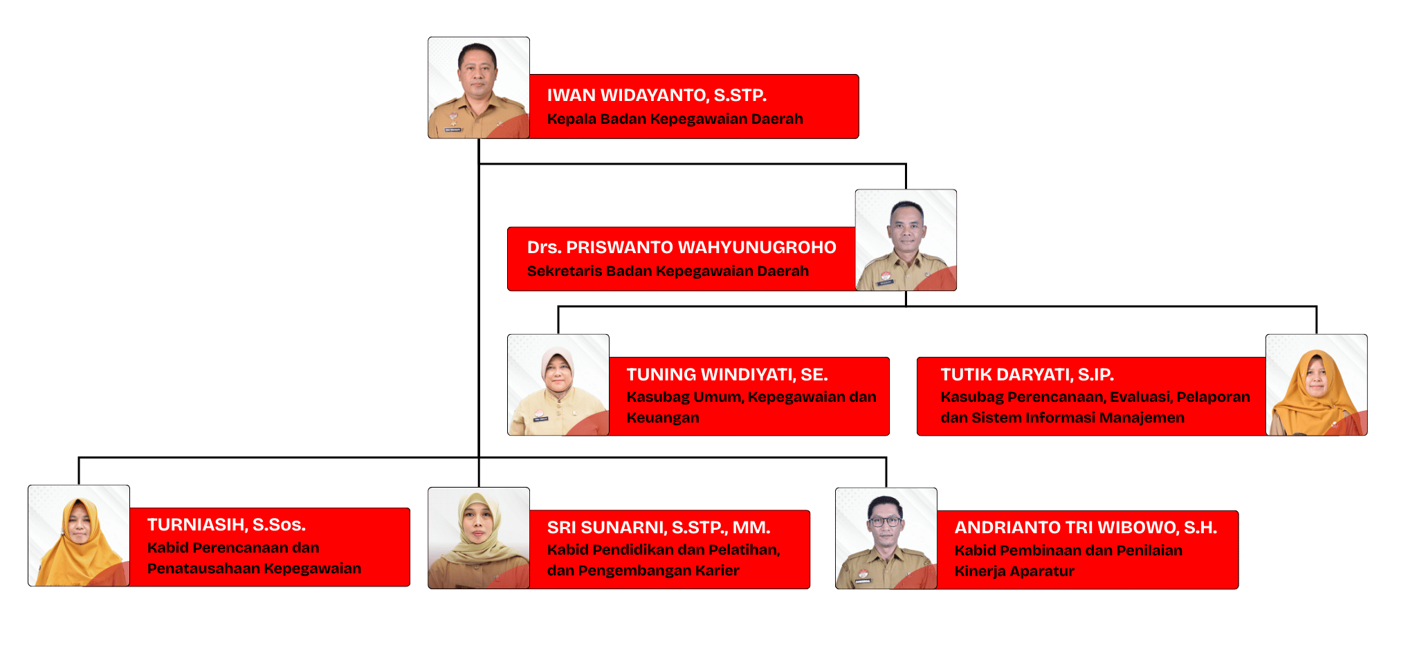 Struktur Organisasi BKD Kabupaten Wonosobo